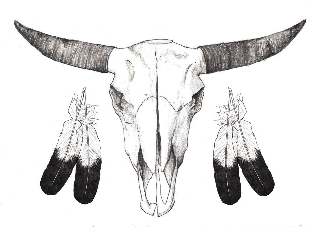 1048x762 Pin By Nicole On Native American Tattoos Drawings - Buffalo Skull Sketch