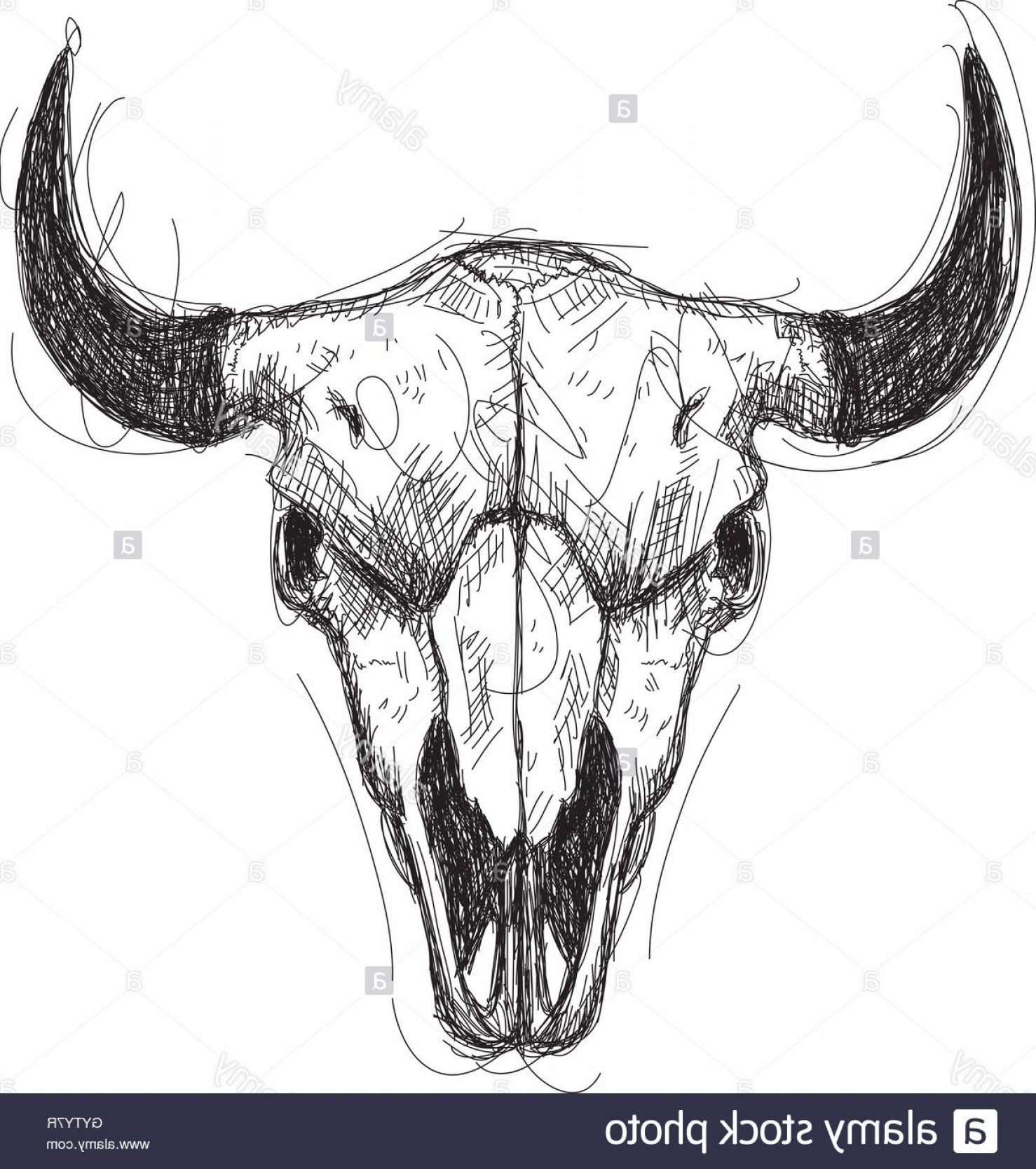 1478x1668 Stock Photo Cow Skull Sketch Shopatcloth - Buffalo Skull Sketch