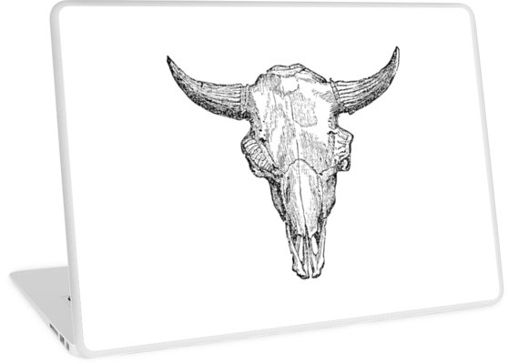 558x400 Vintage European Bison Skull Illustration Retro Black And White - Buffalo Skull Sketch