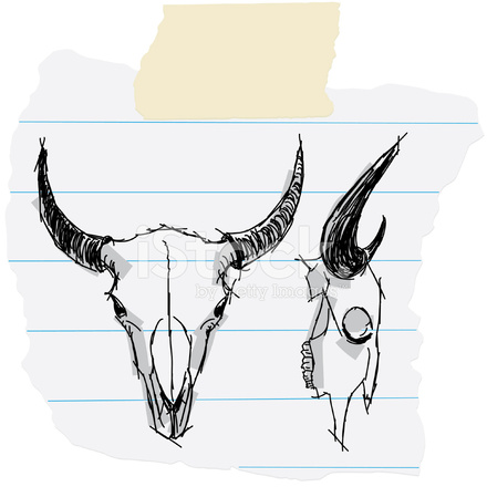 440x440 Bison Skull Sketches Stock Vector - Buffalo Skull Sketch