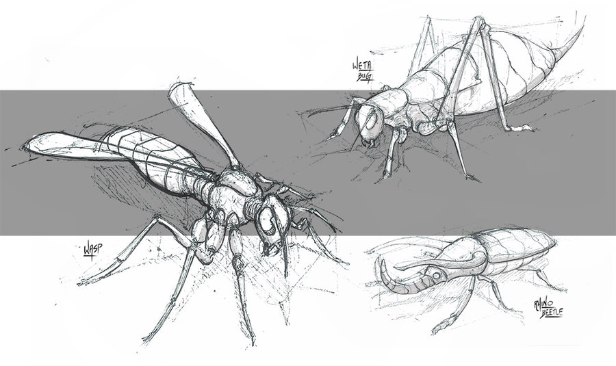 900x535 Bug Sketches By Inkdotdev - Bug Sketch
