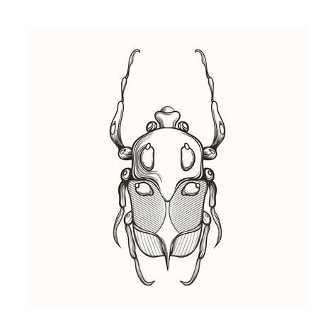 473x473 Hand Drawn Engraving Sketch Scarab Beetle, May Bug, European - Bug Sketch