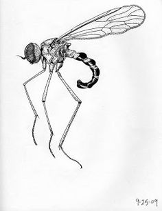 236x306 This Was The Final Sketch I Used As A Template In Lightwave...it - Bug Sketch