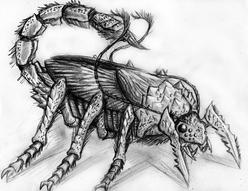 800x616 Bed Bug Sketch 01 By Jihaus - Bug Sketch