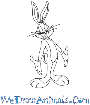 300x350 How To Draw Bugs Bunny - Bugs Bunny Cartoon Sketch
