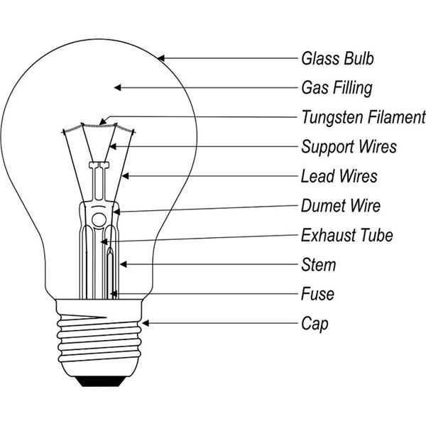 600x600 Light Bulb Diagram Full - Bulb Sketch