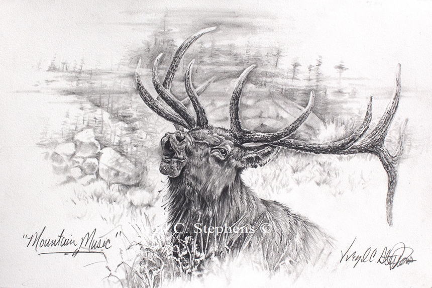 860x573 Mountain Music, Original Pencil Drawing Of A Bull Elk, By Virgil C - Bull Elk Sketch