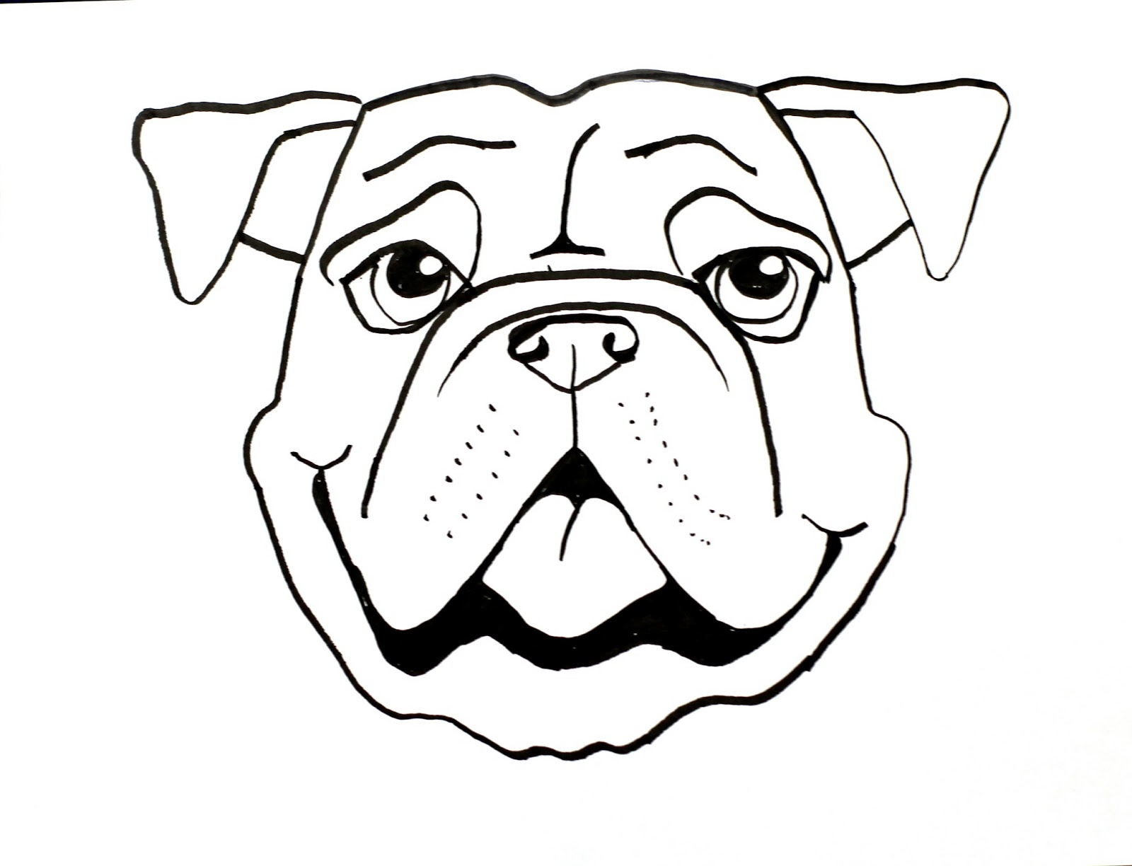 1600x1224 Easy Sketch To Bull Face Easy Sketch To Bull Face Drawn Dog Face - Bull Face Sketch