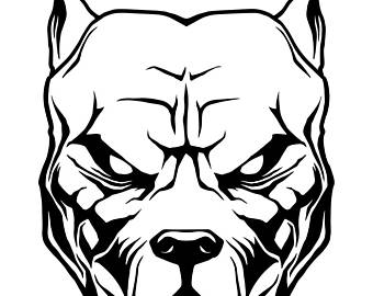 340x270 Pit Bull Clipart Face - Bull Face Sketch