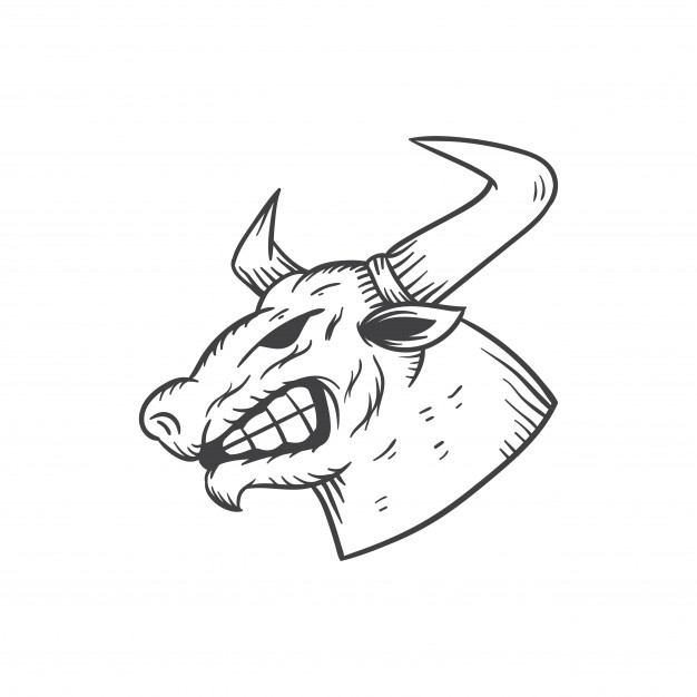 626x626 Bull Head Illustration Vector Premium Download - Bull Head Sketch
