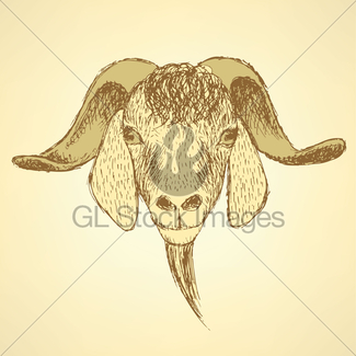 325x325 Sketch Bull Head In Vintage Style Gl Stock Images - Bull Head Sketch