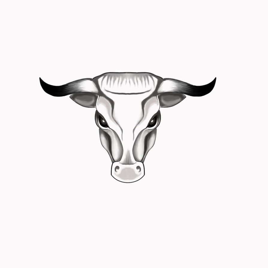 894x894 Taurus Bull Head Tattoo Sketch - Bull Head Sketch