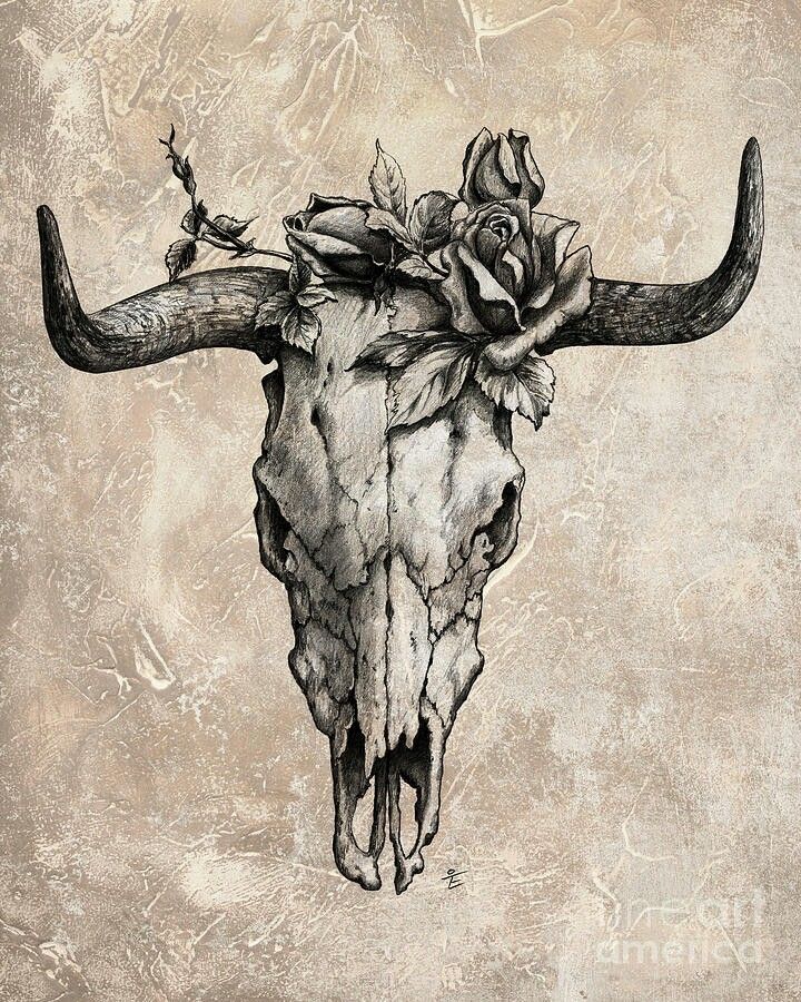 720x900 Drawn Bull Bull Skull - Bull Riding Sketches
