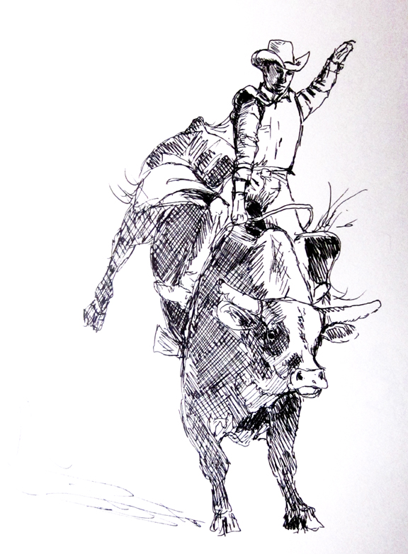 576x783 February Sketch Challenge - Bull Riding Sketches