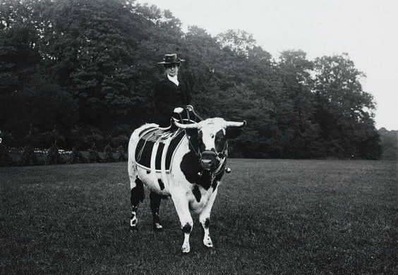 564x390 No Fairy Princess The Bull Riding, Tattooed Free Spirit The Post - Bull Riding Sketches