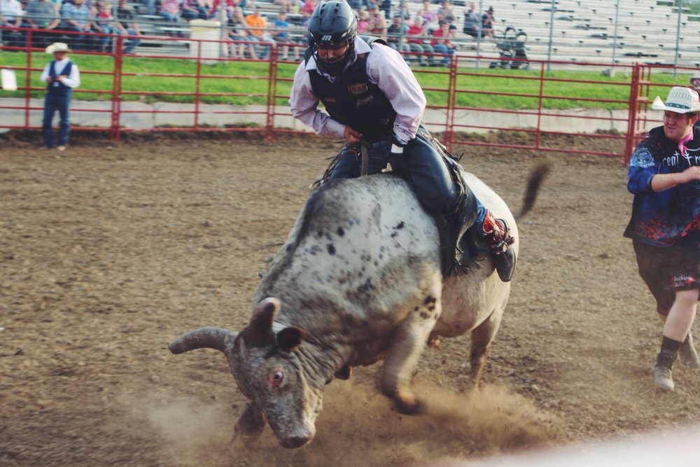 1000x667 Brave Bull Riders Wow The Crowd Amelia Wedemeyer - Bull Riding Sketches