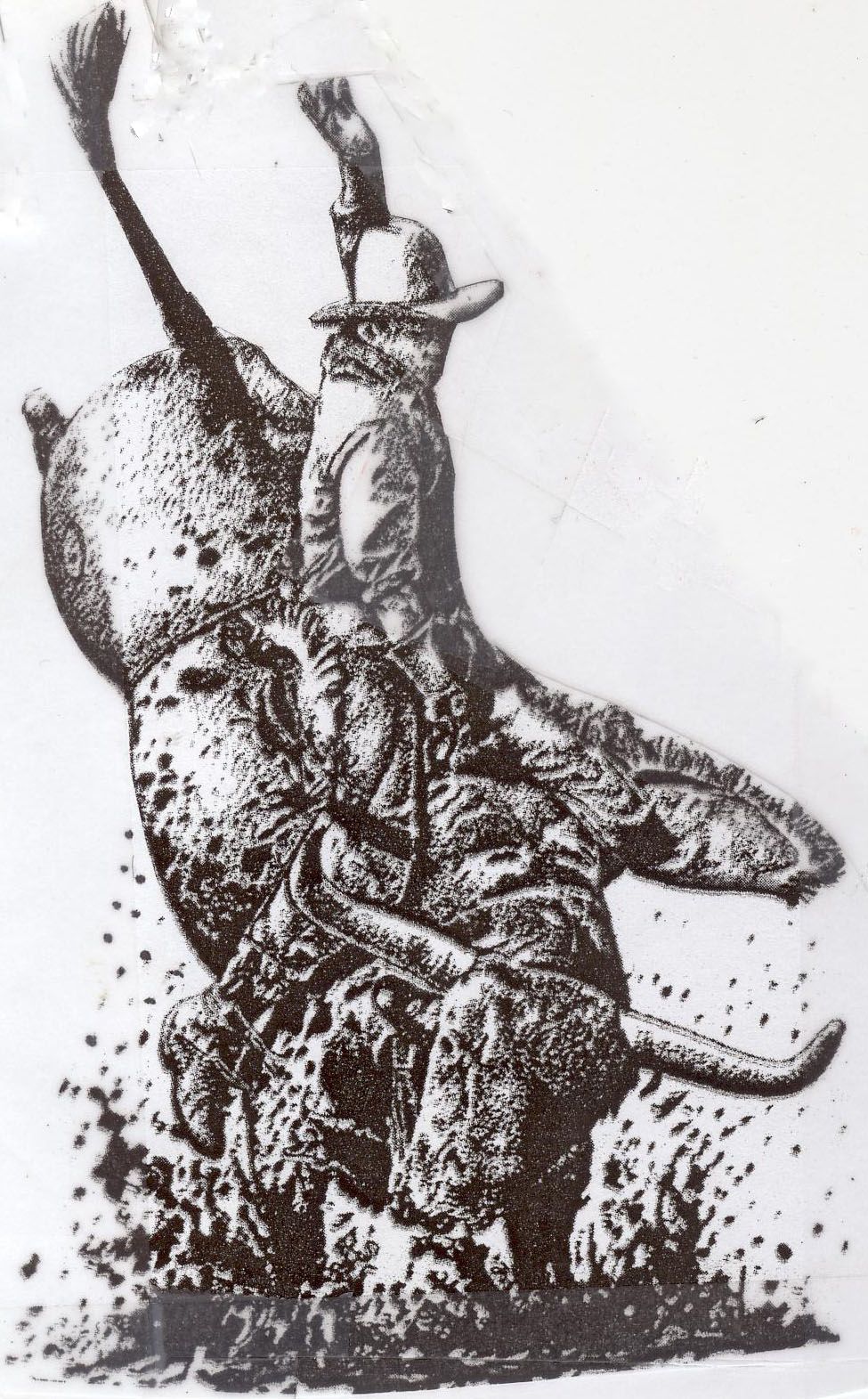 975x1571 Bull Riding - Bull Riding Sketches