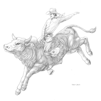 200x200 Bull Rider Sketch Drawings I Like Bull Riders - Bull Riding Sketches