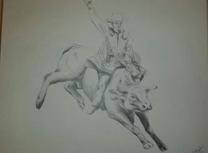 300x220 Bull Riding - Bull Riding Sketches