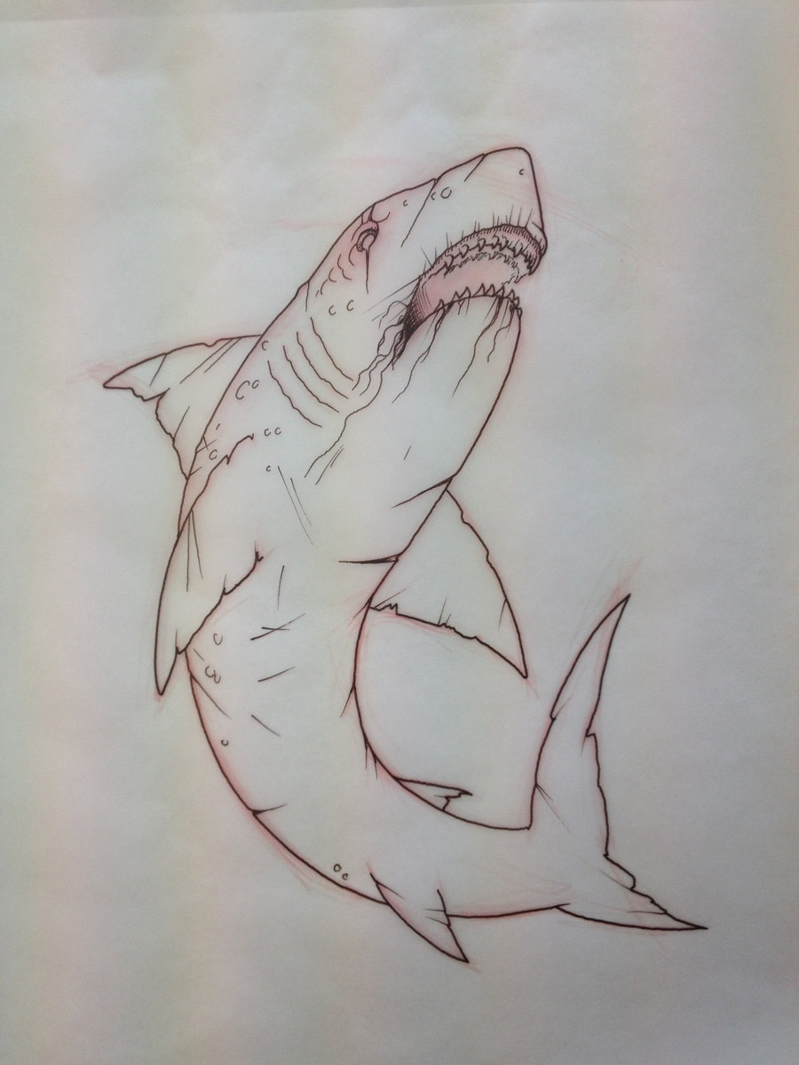 900x1200 Bull Shark By Dickmagnet - Bull Shark Sketch