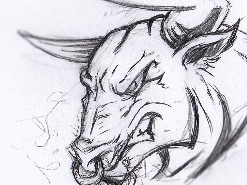 800x600 Angry Bull Sketch By Benjamin - Bull Sketch