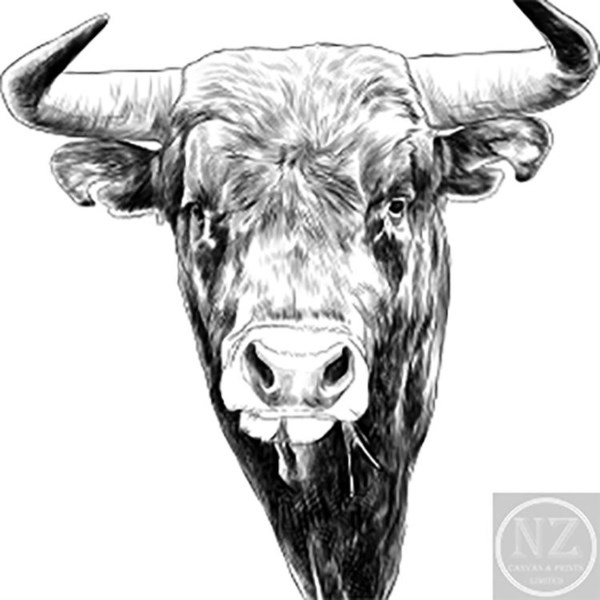 Bull Sketch At Paintingvalley.com 