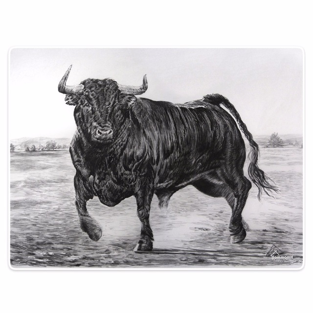 640x640 Blanket Comfort Warmth Soft Plush Easy Care Machine Wash Abstract - Bull Sketch