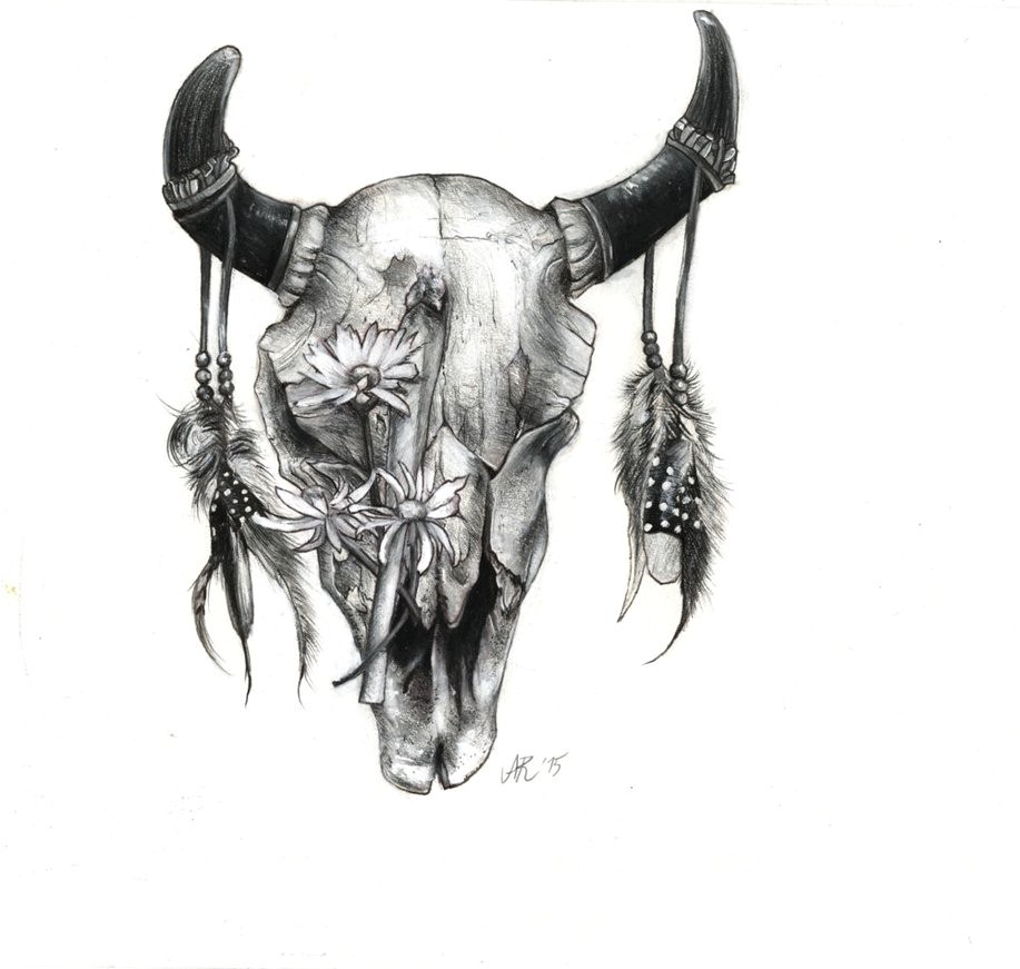 917x871 Bull Skull Drawing 24 20 Cow - Bull Skull Sketch