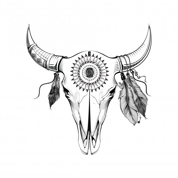 626x626 Bull Skull Vectors, Photos And Psd Files Free Download - Bull Skull Sketch