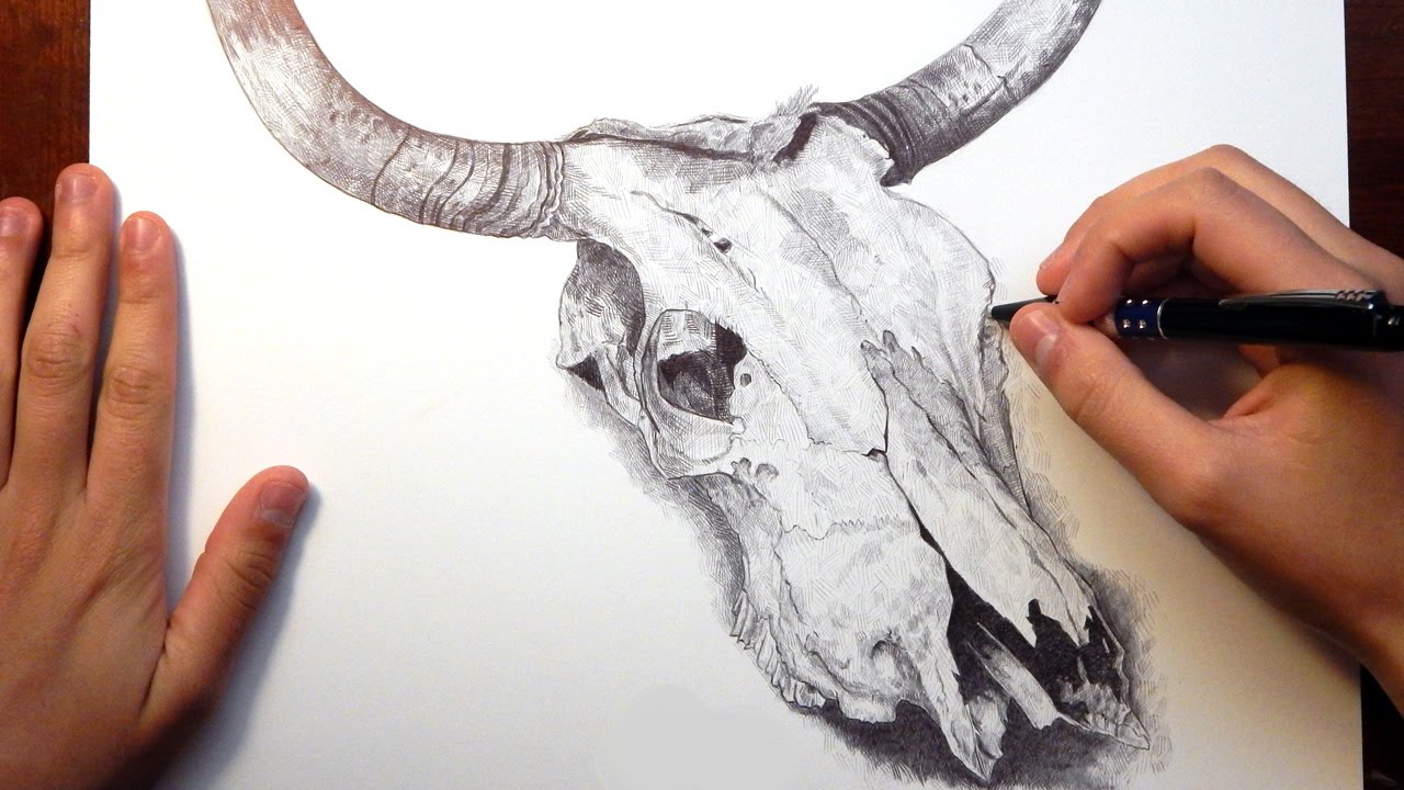 1280x720 Ballpoint Pen Drawing Bull Skull - Bull Skull Sketch