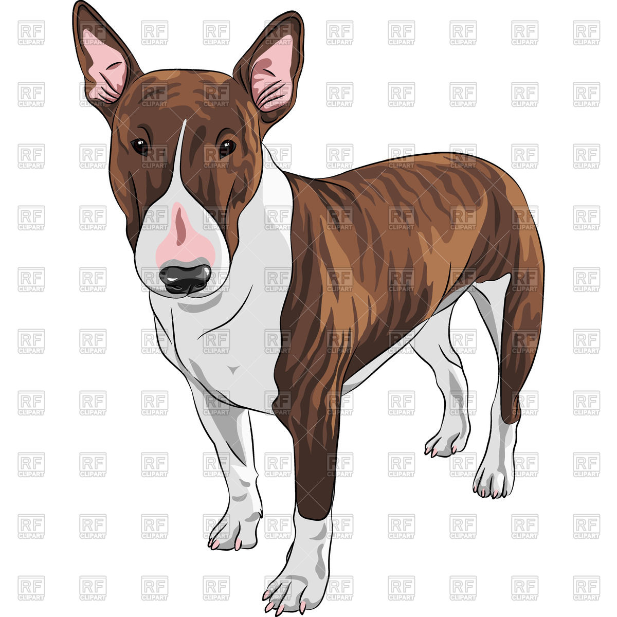 1200x1200 Color Sketch Of Bull Terrier Dog Vector Image Vector Artwork Of - Bull Terrier Sketch