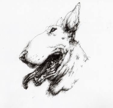 375x357 Bull Terrier Drawing By Eleanor Adair Saatchi Art - Bull Terrier Sketch
