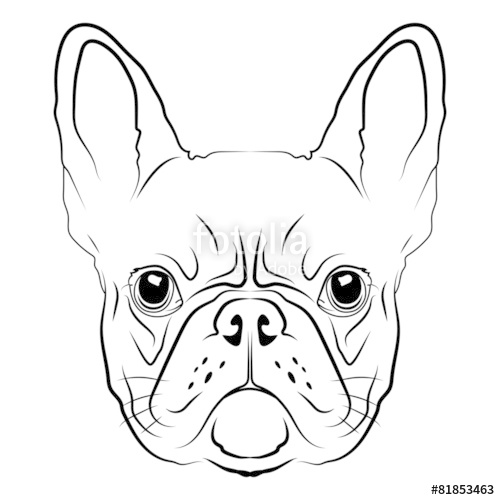 99+ Face French Bulldog Drawing Easy
