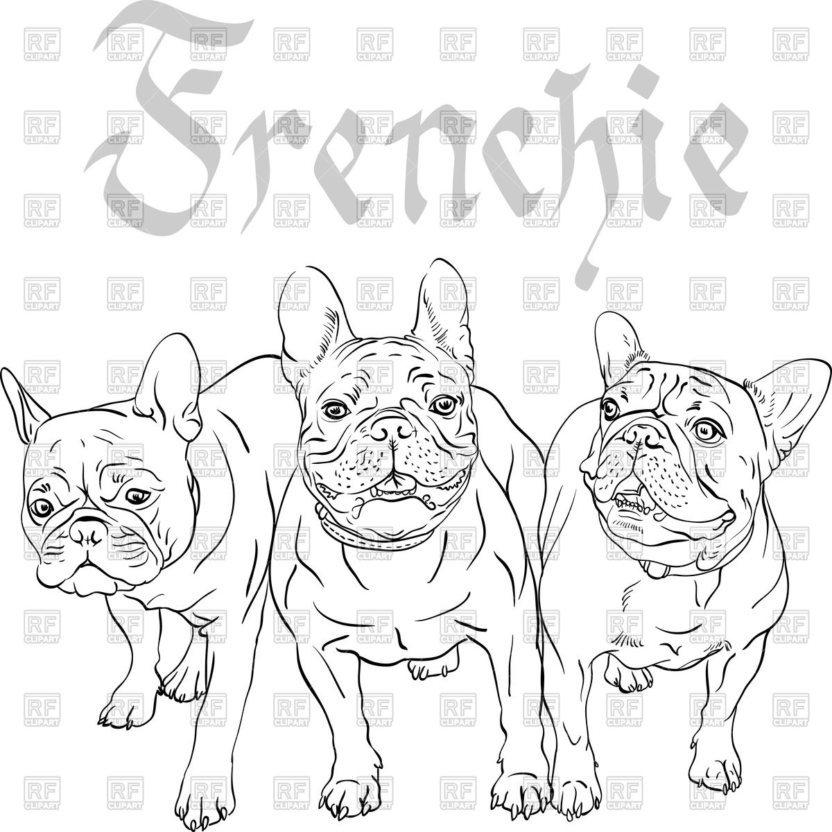 1200x1200 French Bulldog Sketch Vector Image Vector Artwork Of Plants And - Bulldog Face Sketch