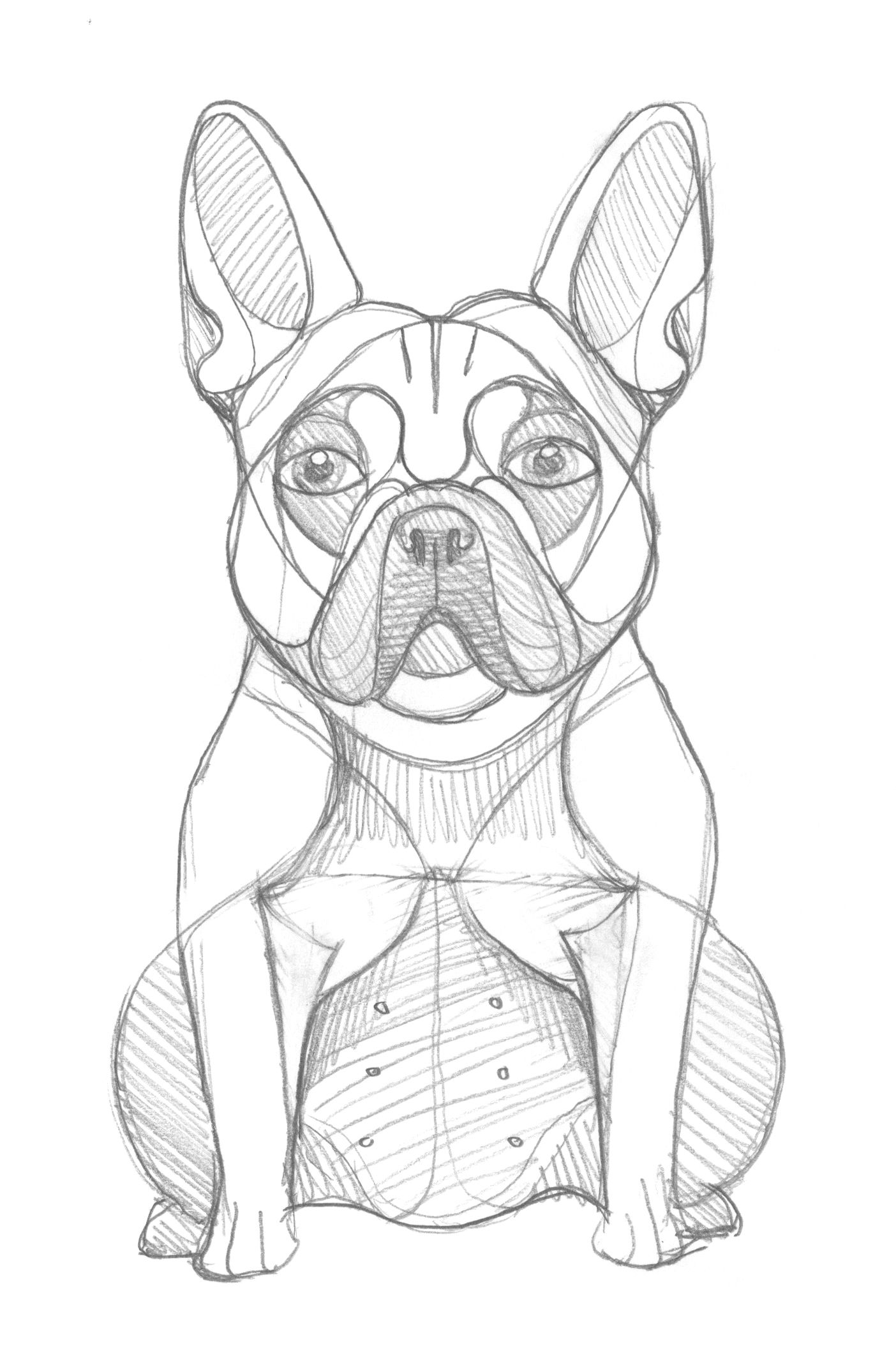 1404x2141 Golden Doodle Goods Dog Breed Illustrations Art Faces - Bulldog Face Sketch