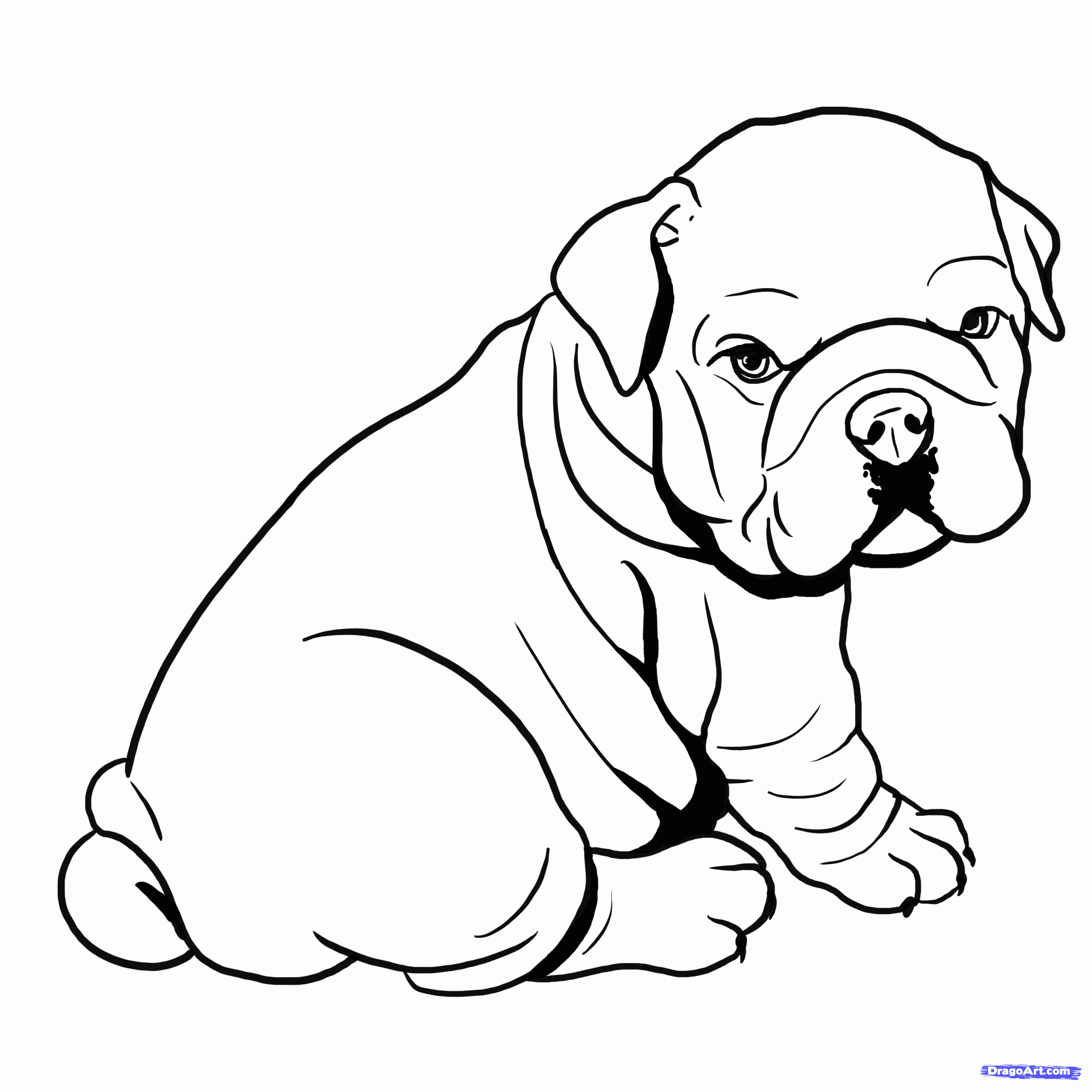 2550x2550 How To Draw A Bulldog, English Bulldog Step 4 Bulldogs Drawing - Bulldog Face Sketch