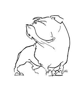 273x300 English Bulldog Drawings Fine Art America - Bulldog Sketch