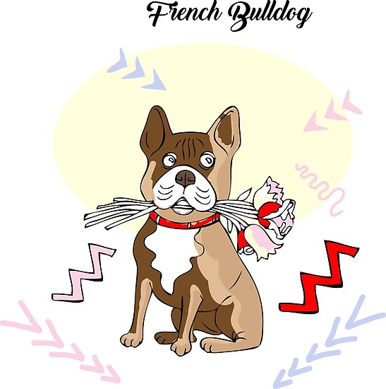547x550 French Bulldog Sketch Posters By Natalia Piache Redbubble - Bulldog Sketch