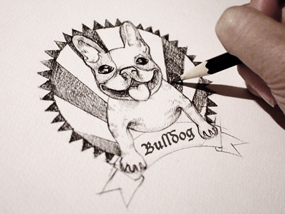 400x300 French Bulldog Sketch By Cindy Wang - Bulldog Sketch