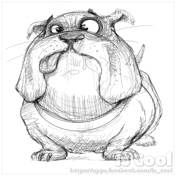 600x600 Sketch Of Bulldog - Bulldog Sketch