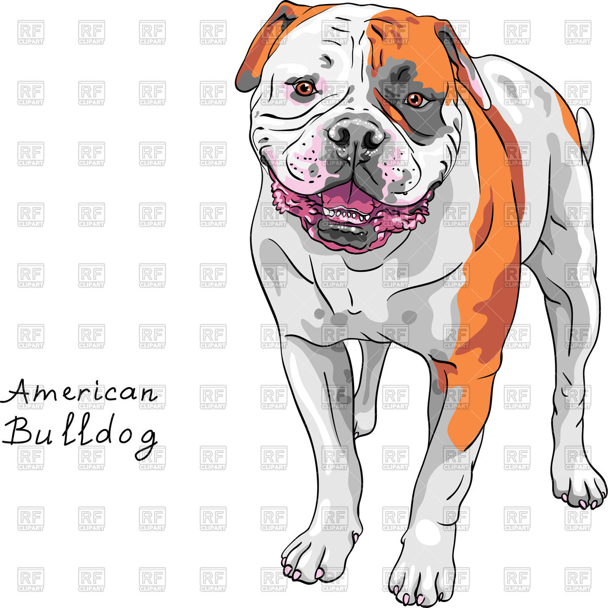 1200x1200 Sketch Of Dog American Bulldog Breed Standing And Smiling Vector - Bulldog Sketch