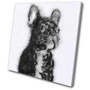 Bulldog Sketch at PaintingValley.com | Explore collection of Bulldog Sketch