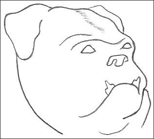 316x284 Bulldog Drawings In Black And White - Bulldog Sketch Easy