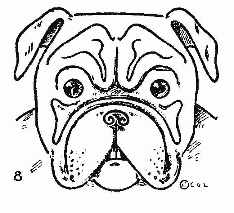 474x431 Bulldog Drawing Easy - Bulldog Sketch Easy