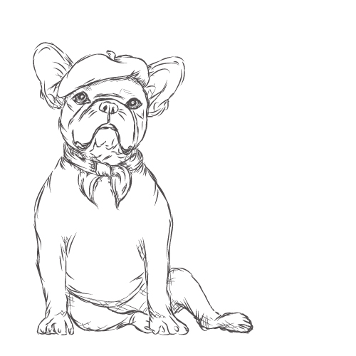 500x500 Drawn Bulldog Baby - Bulldog Sketch Easy