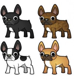 250x272 French Bulldog Clipart Easy Draw 7 - Bulldog Sketch Easy