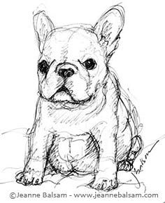 236x291 French Bulldog Clipart Sketch 20 - Bulldog Sketch Easy