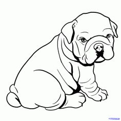 236x236 87 Best Bulldogs Drawing Images In 2018 English - Bulldog Sketch Easy