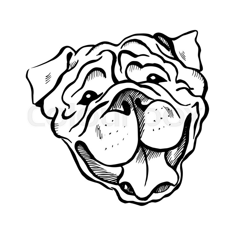 800x784 English Bulldog, Smiling Dog Face, Portrait, Sketch, Black And - Bulldog Sketch Images
