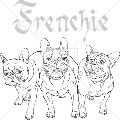 400x400 French Bulldog Sketch Vector Image Vector Artwork Of Plants And - Bulldog Sketch Images
